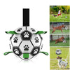 Interactive Dog with Grab Tabs Outdoor Training Ball